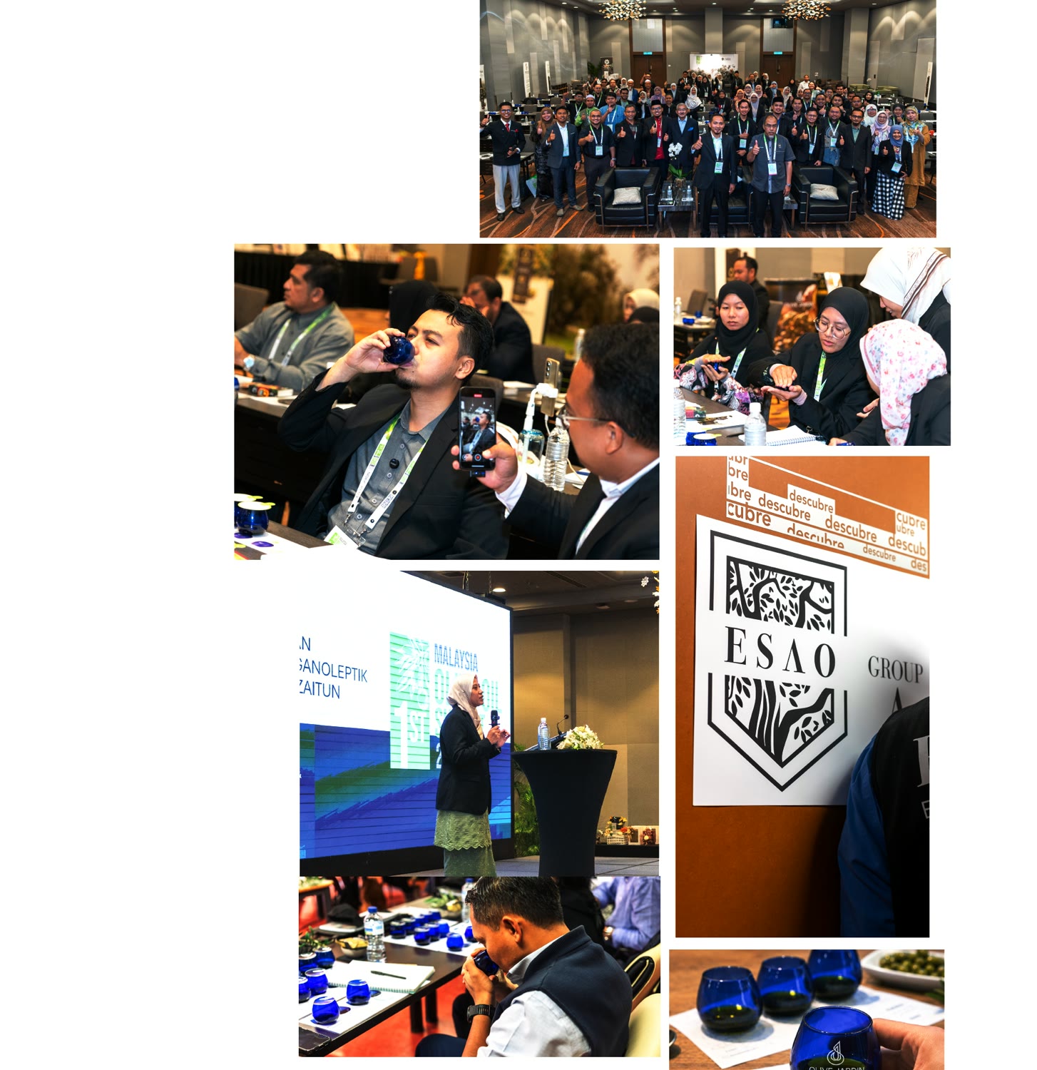 Public empowerment — olive oil tasting and education sessions