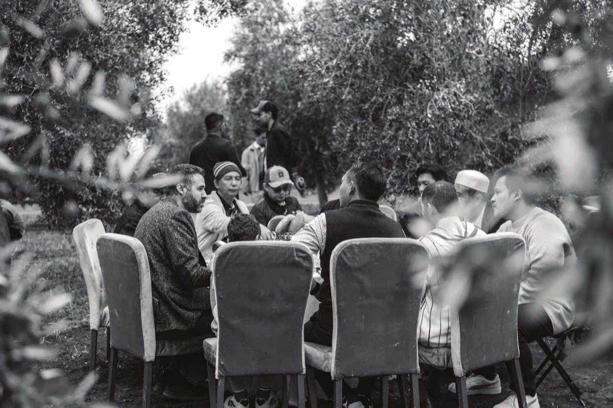 A gathering among the groves