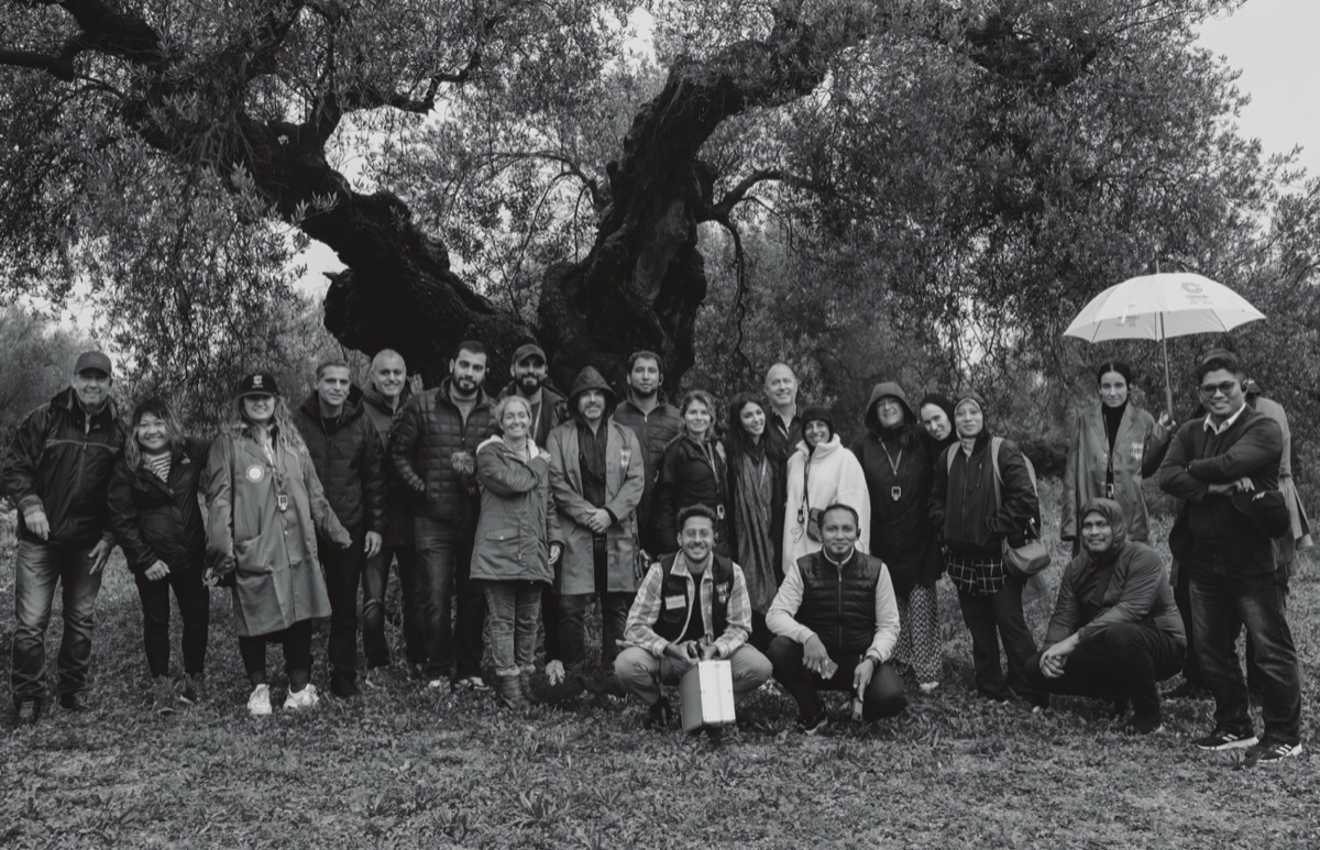 The Olive Jardin team beneath an ancient olive tree