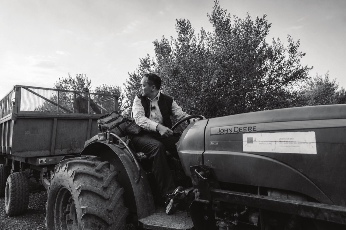 Tending the grove by tractor
